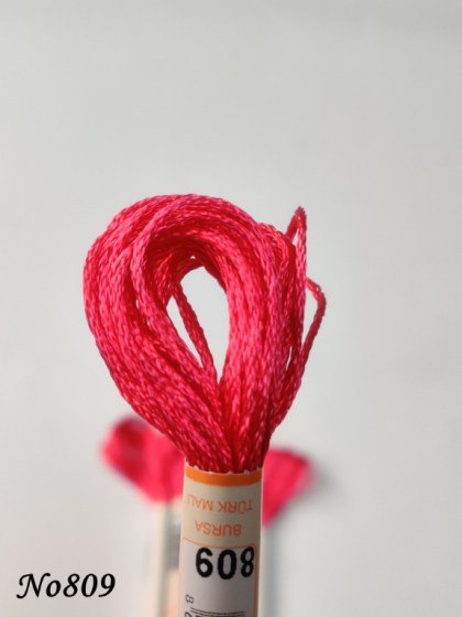 809 (DMC600) (1) (Medium) 560x560